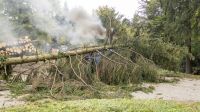 _2026-10-17 Übung Verkehrsunfall Plateau-6673